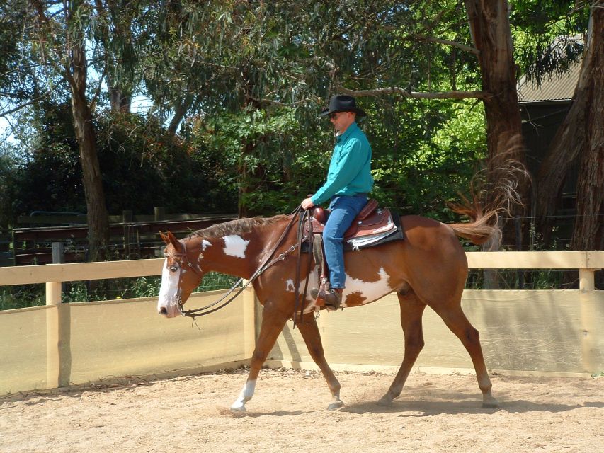 Agadir: Guided Horse Riding Along Flamingo River with Tea - A Small Taste of Morocco After the Ride