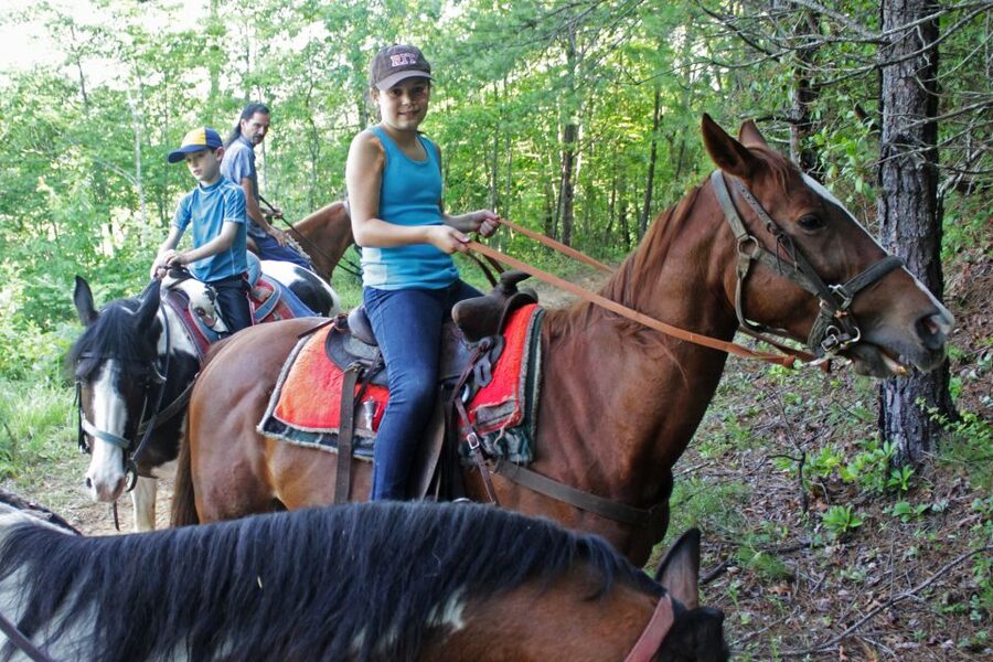 Agadir: Guided Horse Riding Along Flamingo River with Tea - What the $22 Price Really Includes
