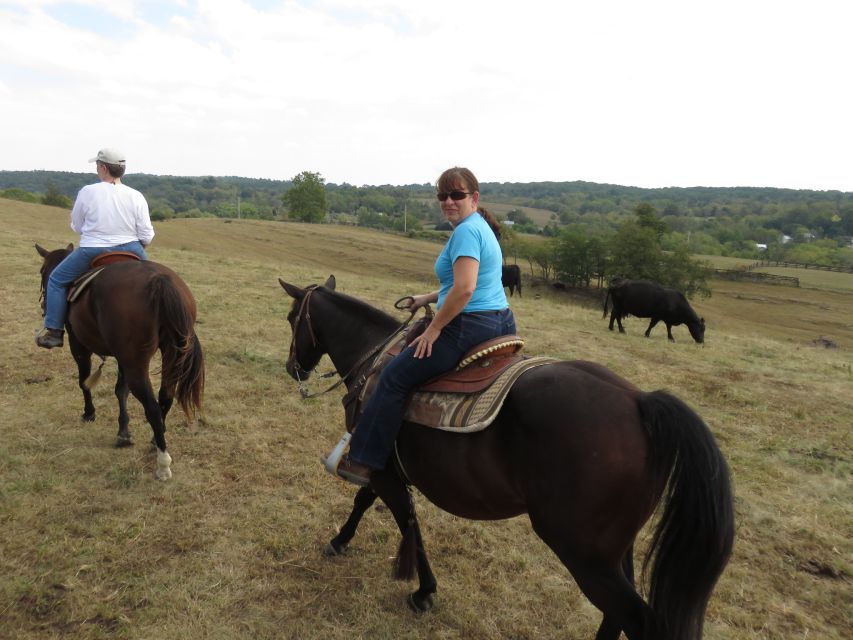 Agadir: Guided Horse Riding Along Flamingo River with Tea - Finding Your Pace on Horseback