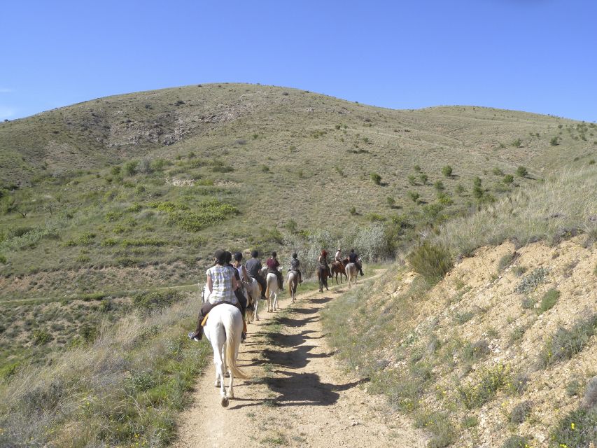Agadir Horse Riding visite the flamingo river with tea drink - Following the river toward flamingos