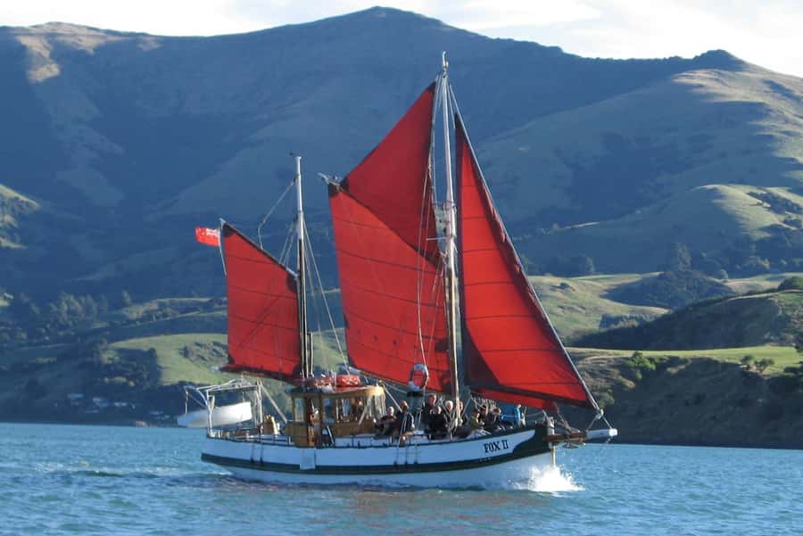 Akaroa: Wildlife Cruise with Dolphins and Penguins - Key Things to Know Before You Sail