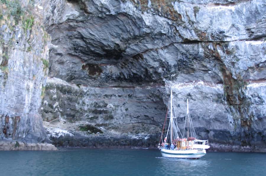 Akaroa: Wildlife Cruise with Dolphins and Penguins - Sailing Out Through Akaroa Harbour