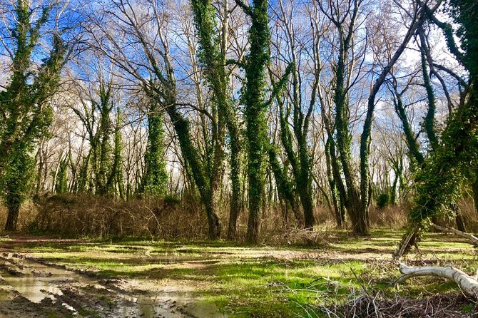 Albania Birdwatching, Kayaking, Bicycle National Park Divjaka Karavasta(ARG) - Adding a bicycle tour or SUV safari