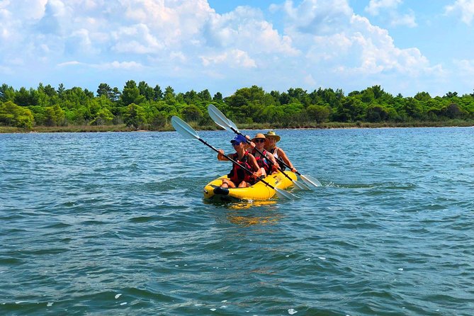 Albania Birdwatching, Kayaking, Bicycle National Park Divjaka Karavasta(ARG) - Starting at 10 a.m. in Divjake
