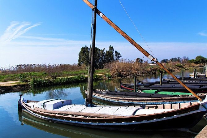Albufera: Lake, Paella and Birdwatching - Birdwatching at the visitor center
