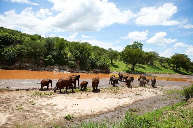Arusha: 3-Day Safari Tarangire, Flamingo Walk Lake Natron Tour - Key points to know before booking