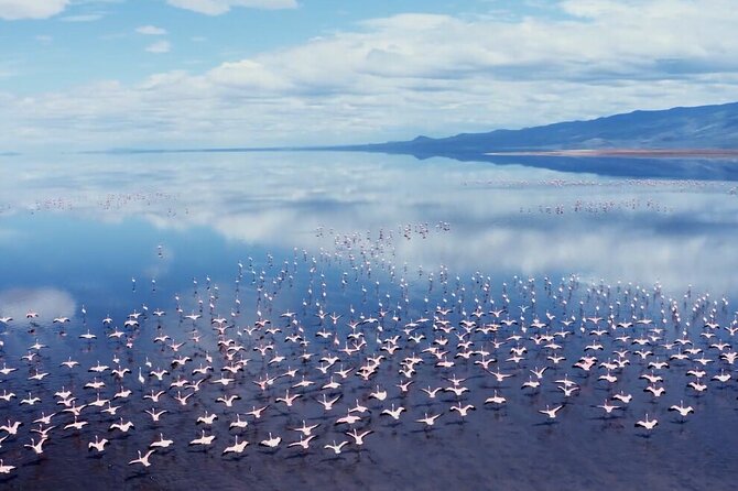 Arusha: 3-Day Safari Tarangire, Flamingo Walk Lake Natron Tour - Guides can shape the whole experience