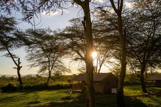 Arusha: 3-Day Safari Tarangire, Flamingo Walk Lake Natron Tour - Who should book this private safari?