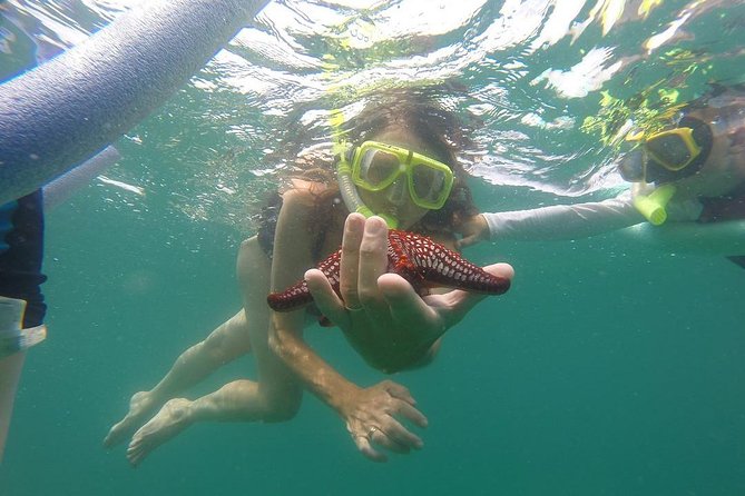 ATV and Snorkel from Playa Flamingo - Key points to know before booking