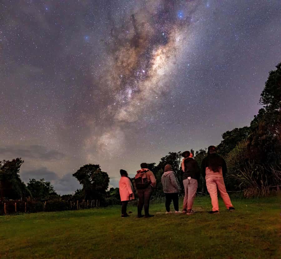 Auckland (Tawharanui): Wild Kiwi Bird Spotting Encounter - Key things to know before you book