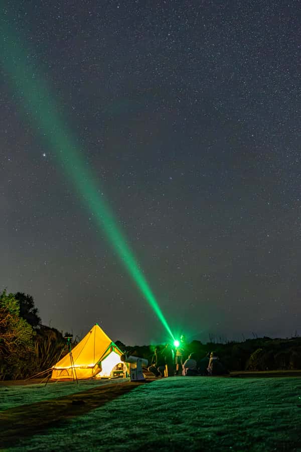 Auckland (Tawharanui): Wild Kiwi Bird Spotting Encounter - Stargazing beneath a dark coastal sky