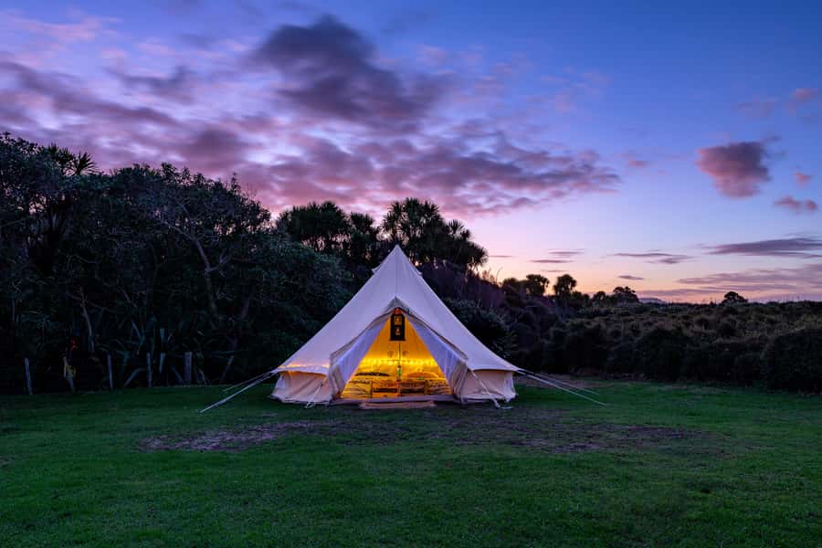 Auckland (Tawharanui): Wild Kiwi Bird Spotting Encounter - Who will enjoy this night walk most?