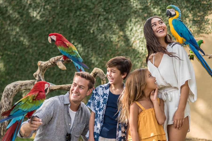 Bali Bird Park: 1-Day Admission Ticket - Key points to know before you go