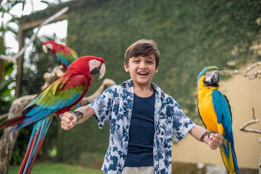 Bali Bird Park 1-Day Admission Ticket - My verdict: is the $8 ticket worth it?