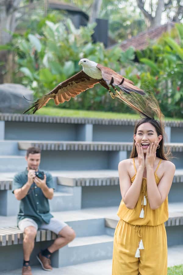Bali Bird Park: 1-Day Admission Ticket - What your day at Bali Bird Park looks like