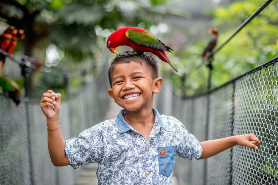 Bali Bird Park: 1-Day Admission Ticket - Meeting cockatoos, macaws, and the bird stars