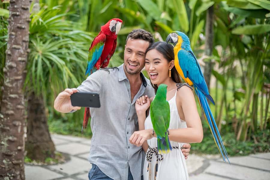 Bali Bird Park 1-Day Admission Ticket - How to plan the morning schedule