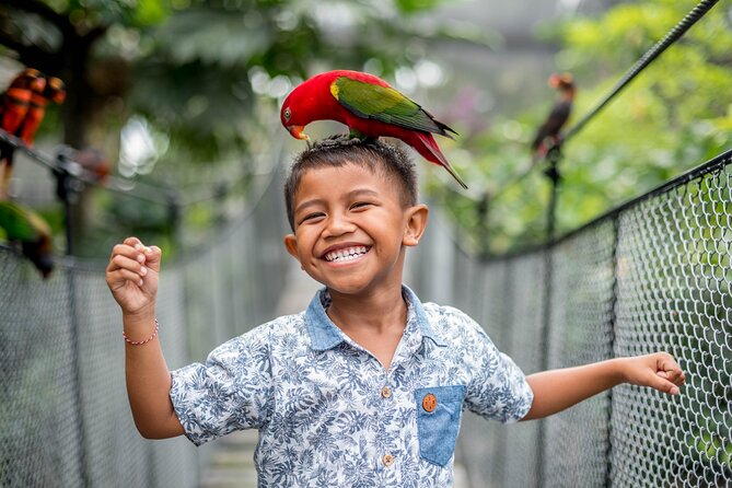 Bali Bird Park Admission Ticket - A half-day among Bali’s birds