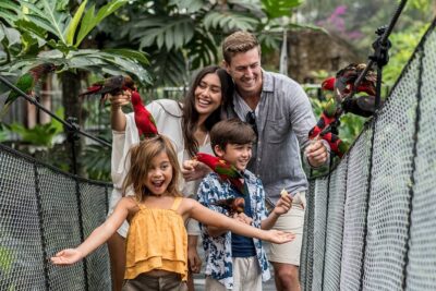 Bali Bird Park Admission Ticket