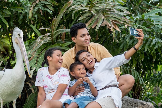 Bali Bird Park Admission Ticket - Is the $18.82 ticket good value?