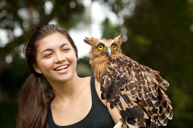 Bali Bird Park Admission Ticket with Hotel Transfer - The birds you are likely to remember