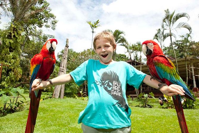Bali Bird Park Admission Ticket with Hotel Transfer - A natural setting, with a few extra comforts
