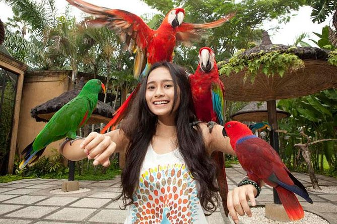 Bali Bird Park Admission Ticket with Hotel Transfer - Who will enjoy this outing most?