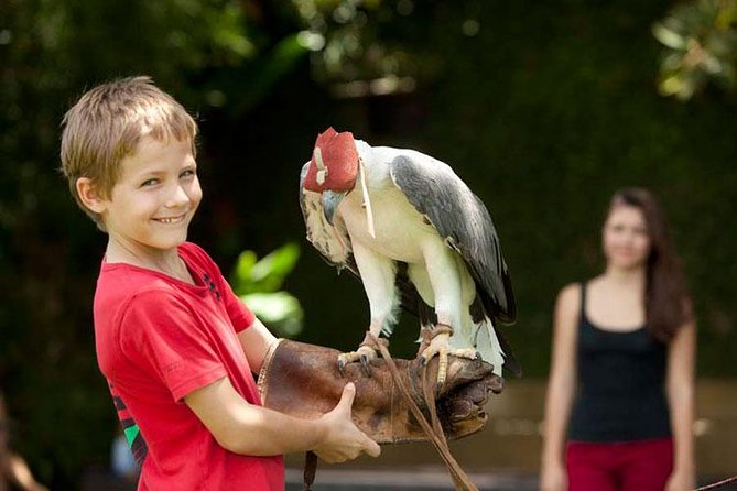 Bali Bird Park Admission Ticket with Hotel Transfer - Entering Bali Bird Park and finding your own pace