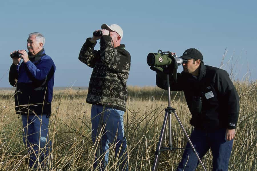 Bali: Countryside Bird Watching Tour with Hotel Transfer - Tjampuhan Ridge and the value of an early start