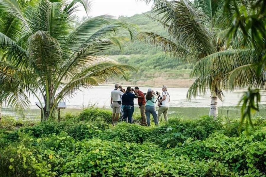 Barbados: Bird Watching Experience - Who should book this experience?