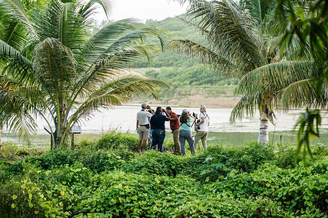 Barbados Bird Watching Experience (Transport Included) - What this Barbados bird tour actually includes
