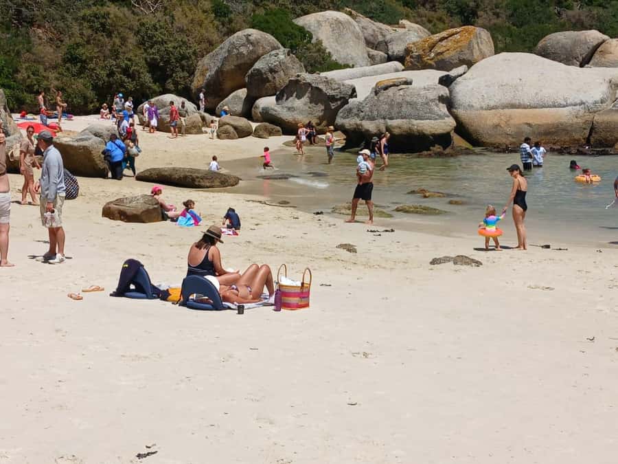 Beach Day at Boulder's Beach & Penguin watching, Half Day - Chapman’s Peak Drive and the Atlantic cliffs