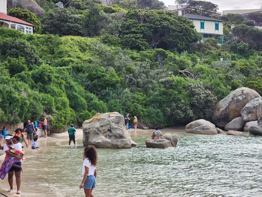 Beach Day at Boulder's Beach & Penguin watching, Half Day - Two hours at Boulders Beach and the penguin colony