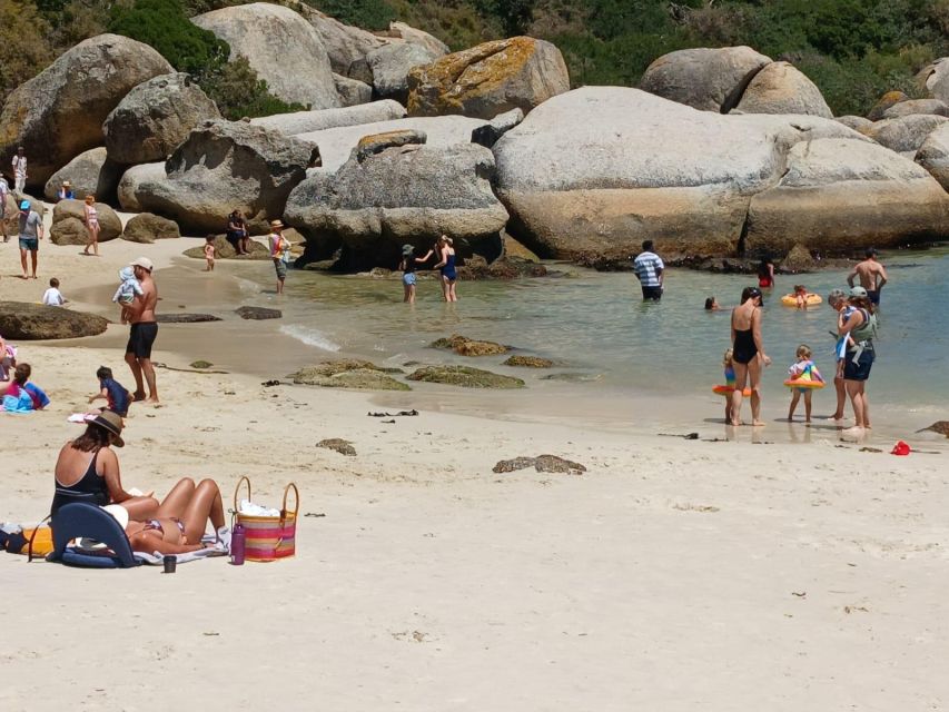 Beach Day at Boulder's Beach & Penguin watching, Half Day - The quick Muizenberg viewpoint