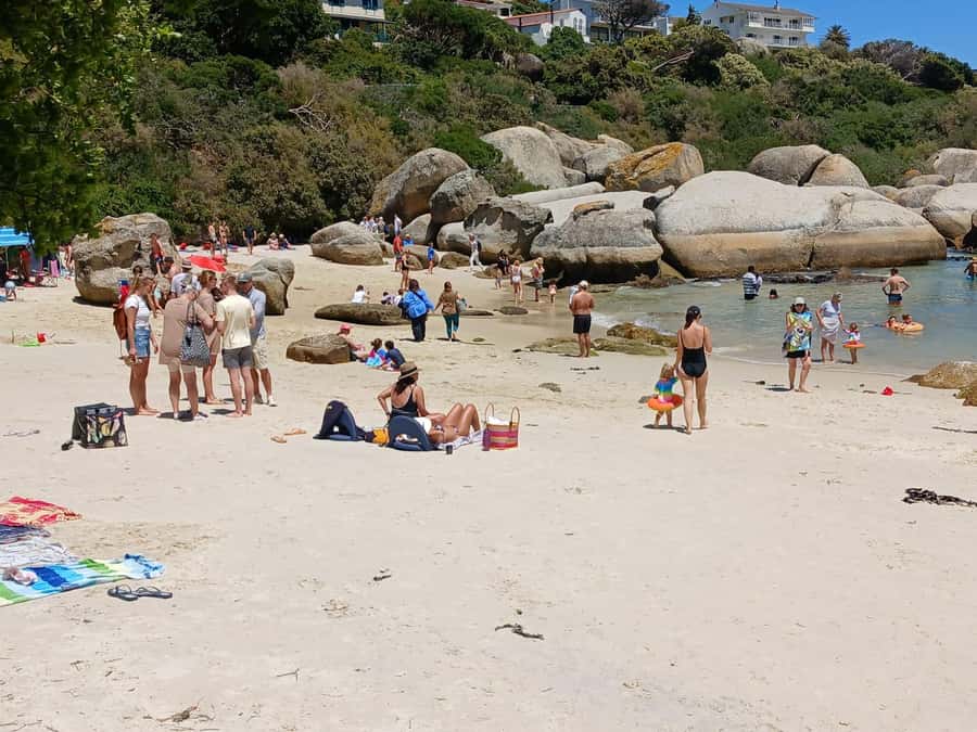 Beach Day at Boulder's Beach & Penguin watching, Half Day - Guides, vehicles, and the pace of the day
