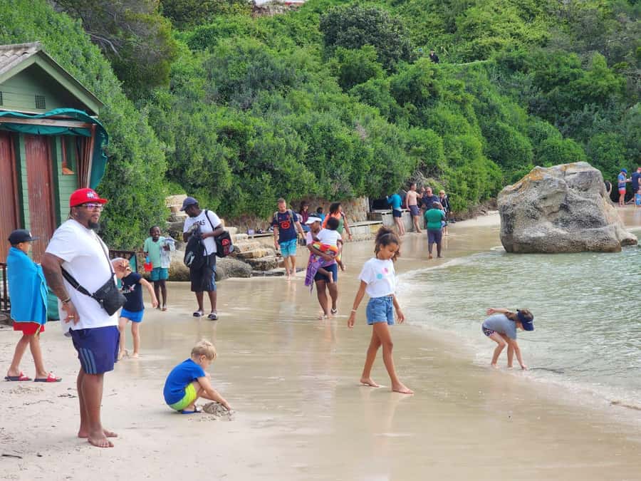 Beach Day at Boulder's Beach & Penguin watching, Half Day - Who will get the most from this tour?