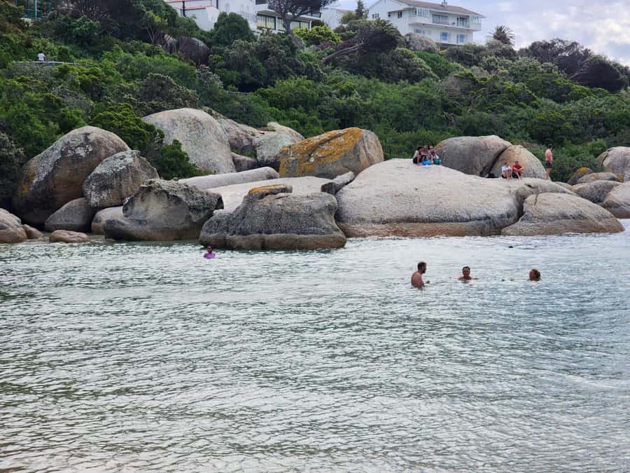 Beach Day at Boulder's Beach & Penguin watching, Half Day - Practical advice before you go