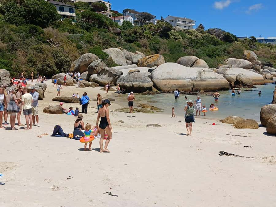Beach Day at Boulder's Beach & Penguin watching, Half Day - Maiden’s Cove and the Camps Bay panorama