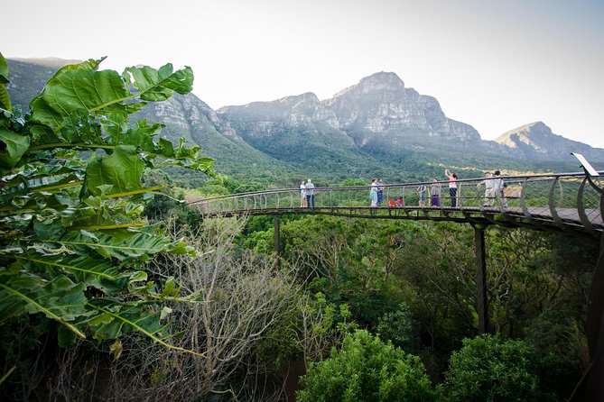 Best Cape Point/Cape of Goodhope/Penguins/Kirstenbosch - Cape Point and the Cape of Good Hope