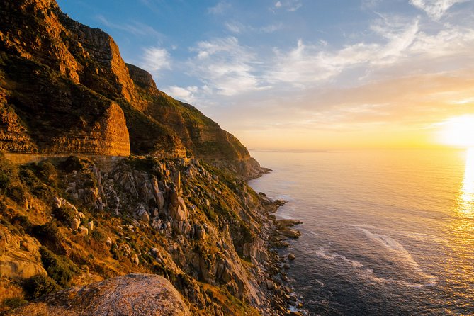 Best Cape Point/Cape of Goodhope/Penguins/Kirstenbosch - Boulders Beach and the African penguins