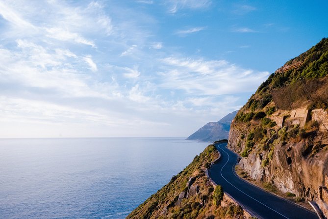 Best Cape Point/Cape of Goodhope/Penguins/Kirstenbosch - What the $185.30 price really covers