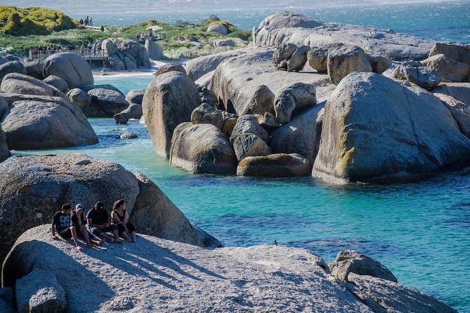 Best Cape Point/Cape of Goodhope/Penguins/Kirstenbosch - Who will enjoy this Cape Town day trip?