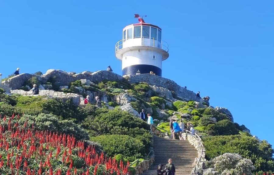 Best of Cape Private Tour Cape Point+Penguins+Table Mountain - Why this private Cape Town route works well