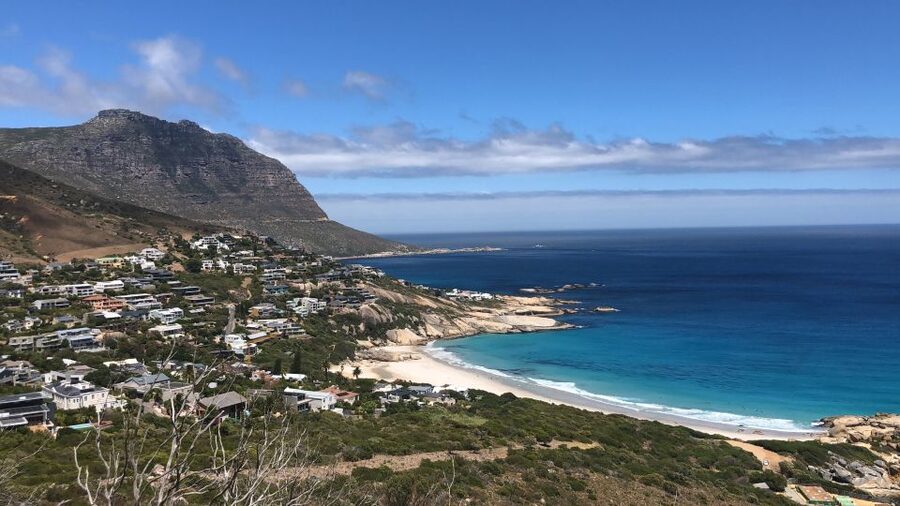 Best of Cape Private Tour Cape Point+Penguins+Table Mountain - Boulders Beach brings you close to African penguins