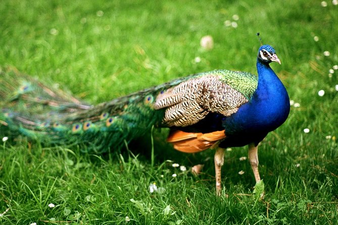 Bharatpur Bird watching & Wildlife from Delhi - The early start and private drive to Bharatpur