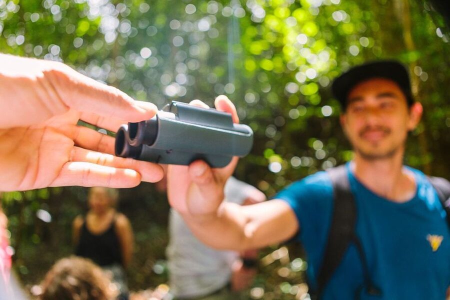 Big Island: Native Bird Watching & Hiking Tour - Key points at a glance