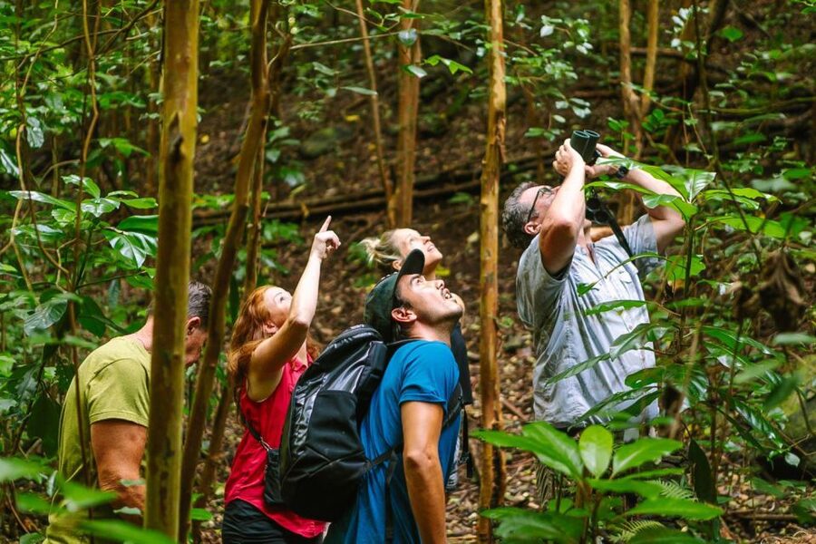 Big Island: Native Bird Watching & Hiking Tour - Why Hakalau Forest is worth a full day