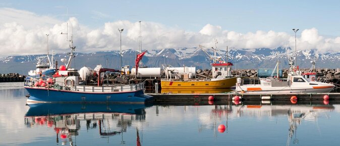 Big Whales & Puffins RIB boat tour from Húsavík - Key points at a glance