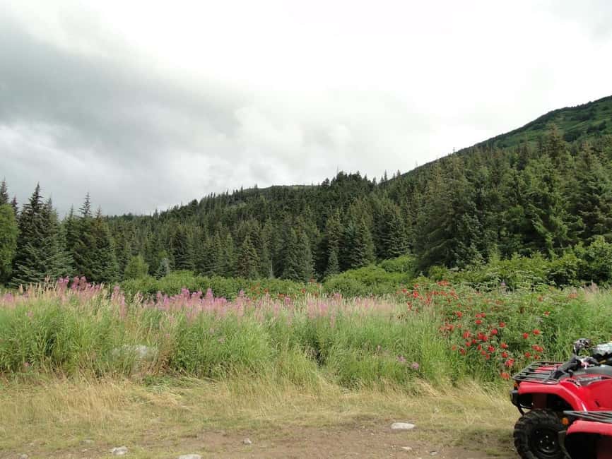 Bird Creek: Chugach State Park ATV Nature Tour & Hike - Riding through Chugach State Park
