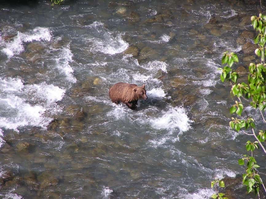 Bird Creek: Chugach State Park ATV Nature Tour & Hike - Who will enjoy this most?